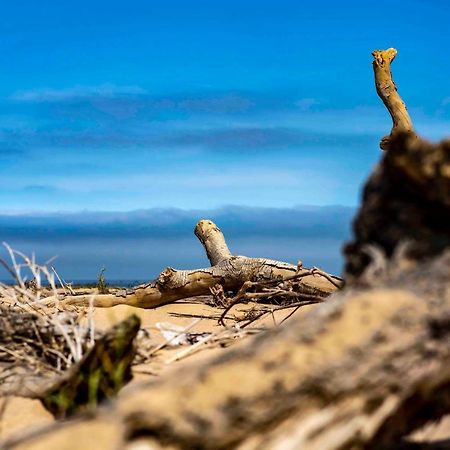 Shipwreck Lodge Mowebaai Buitenkant foto