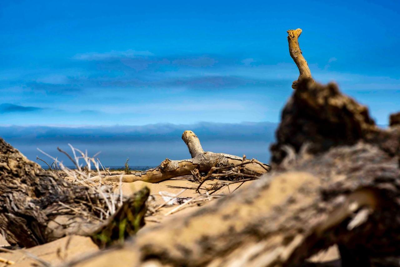 Shipwreck Lodge Mowebaai Buitenkant foto