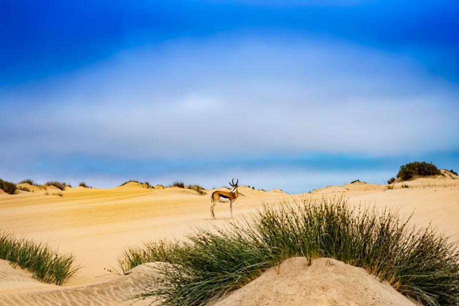 Shipwreck Lodge Mowebaai Buitenkant foto