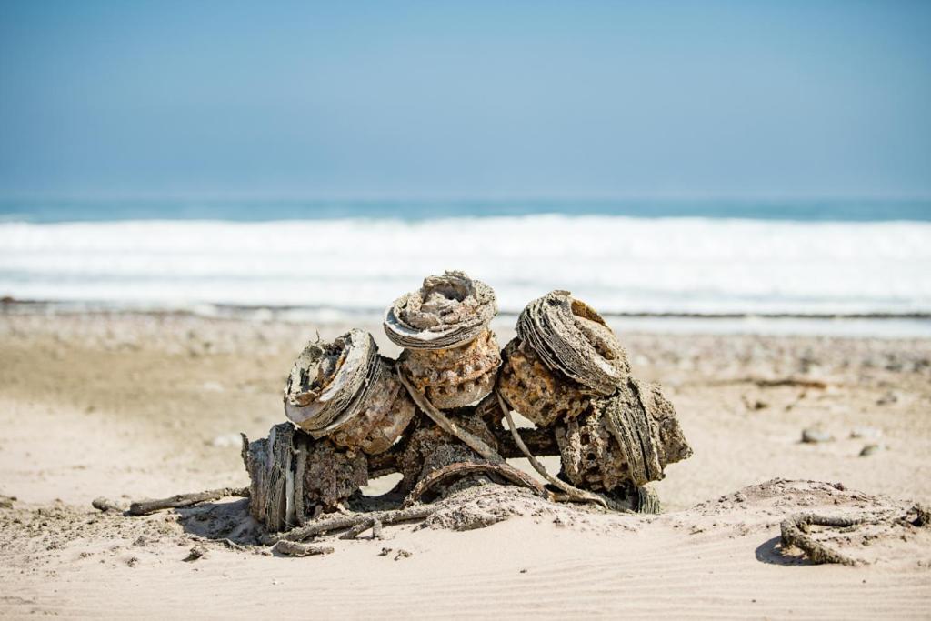 Shipwreck Lodge Mowebaai Buitenkant foto